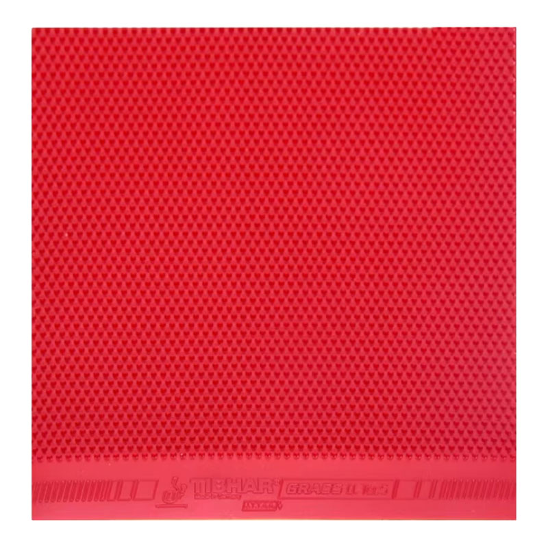 TIBHAR Grass D.TecS Table Tenn - Table Tennis Club review and price